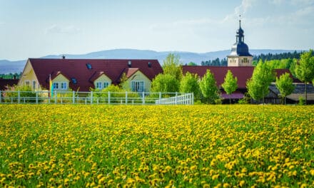 Valentinsseminar „Zeit für uns“ in den Hollerhöfen