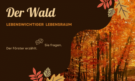 Der Wald – ohne ihn kein Leben!