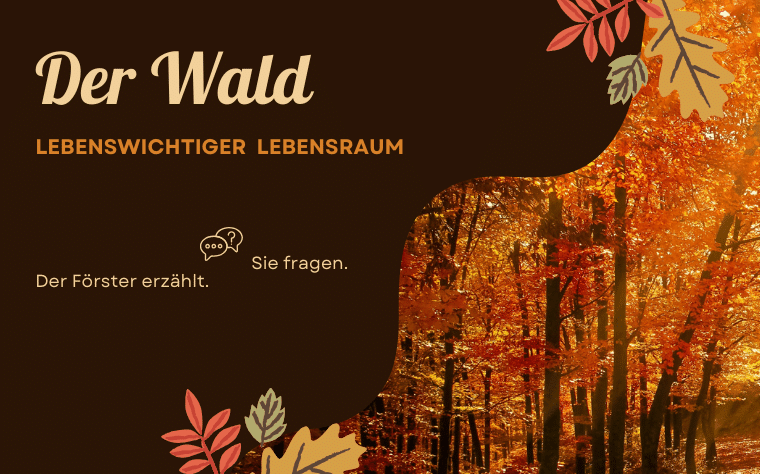 Der Wald – ohne ihn kein Leben!